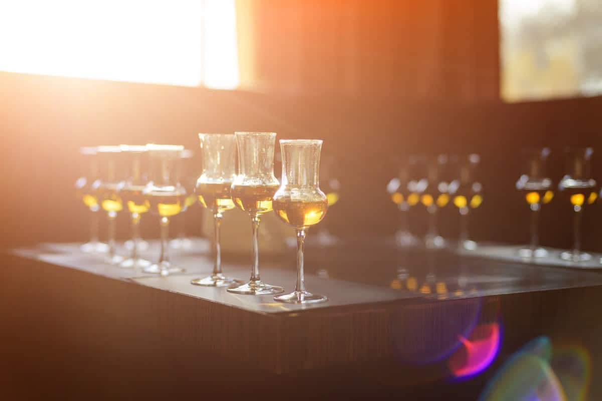 The Ultimate Checklist to Create Your Tequila Brand