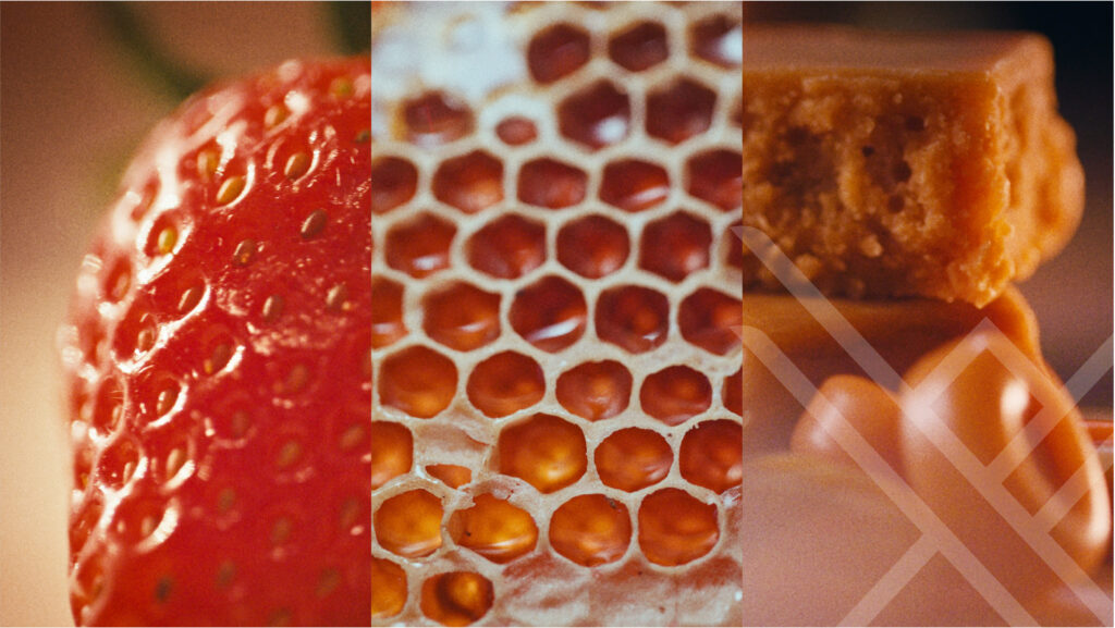 Designing a Brand Tasting Experience That Connects Emotionally