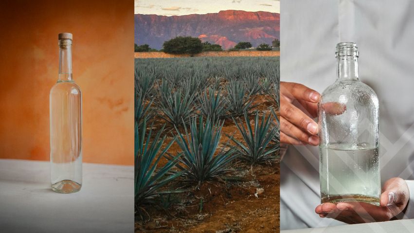 Mezcal vs Tequila: Choosing the Right Investment for 2026