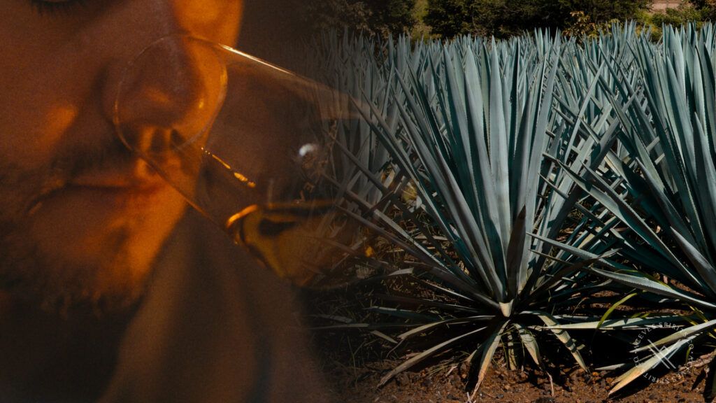 Tequila Innovation: Precision Blending & Sensory Engineering