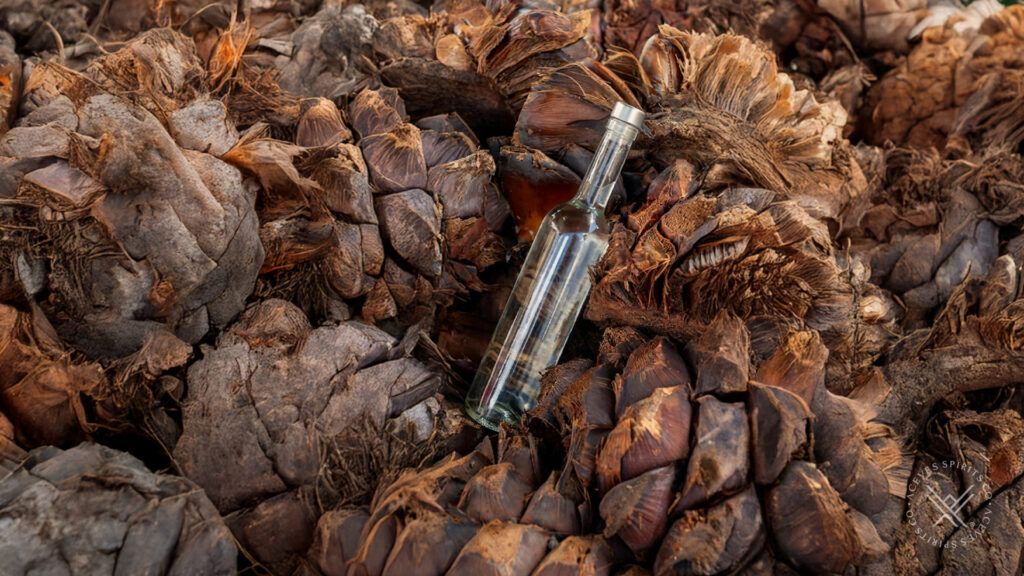 Service Focus: End-to-End Solutions forNew Mezcal Brands