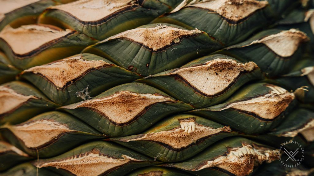 Mezcal Additives: Legal Grey Areas andConsumer Expectations