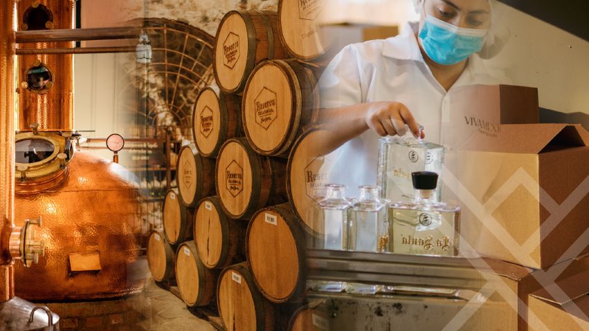 Premium tequila supply chain logistics and project management for bottling