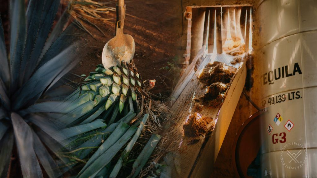 Agave harvest and bulk tequila inventory management for global supply chains