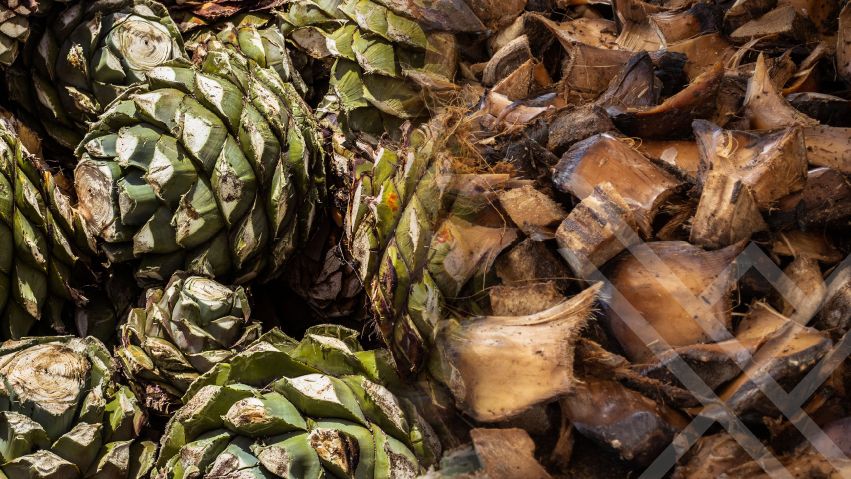Traditional mezcal distillation using artisanal methods to build a luxury spirits brand