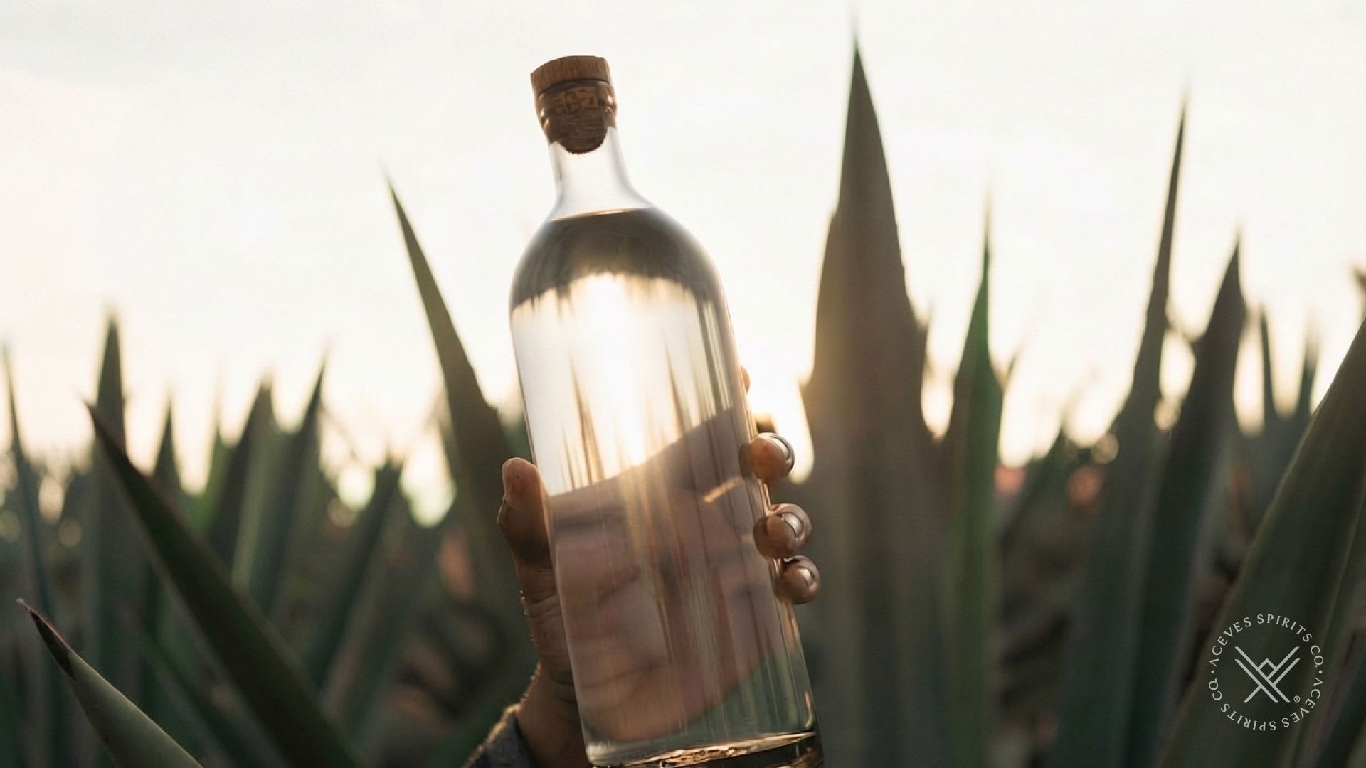 ncestral mezcal production and wild fermentation techniques preserving true mezcal culture