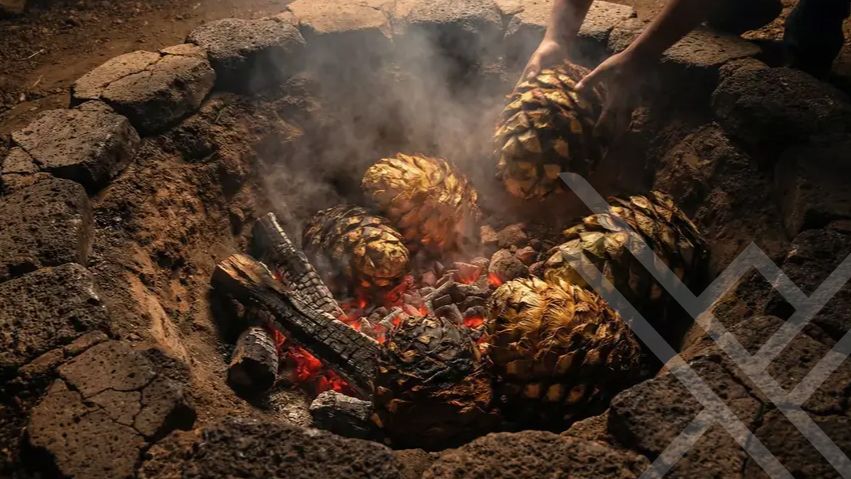 Sustainable mezcal production and fair trade practices in traditional palenques